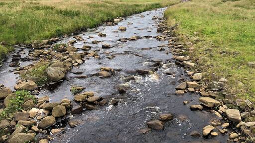 Lovely views of the valley