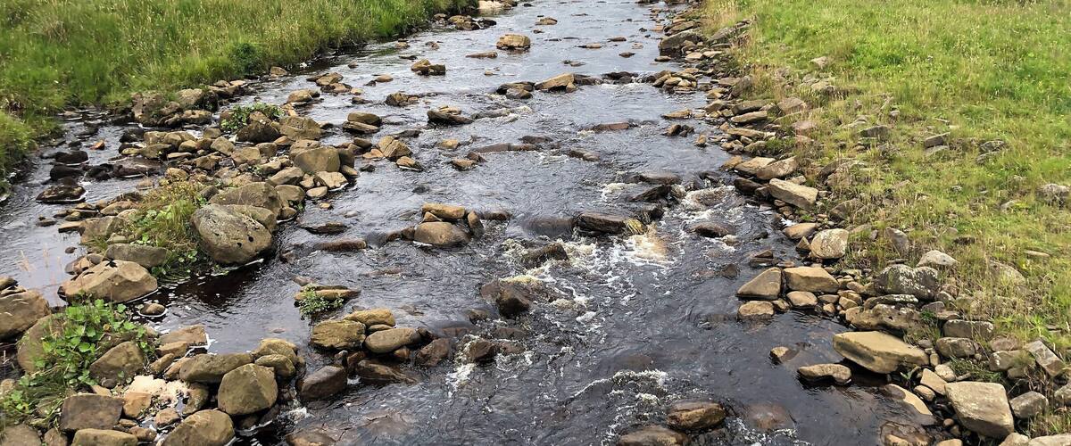 A rocky stream in a grassy valley with a stone bridge in the distance.