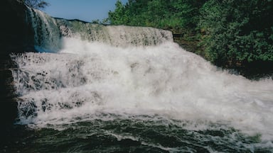 A waterfall cascading over a rocky ledge surrounded by dense green foliage.