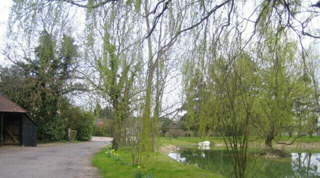 Pond, Berwick Berners Hall near Abbess Roding The pond is at the north-west corner of Berwick Hall (named Berwick Berners Hall on the OS 1:25,000 map) which is a 16th century part moated farmhouse, and the pond may be part of the moat. The manor of Berwick goes back much earlier, and in 1220 it was in the hands of the Berners family, from which it took the second part of its name. In the middle distance to the left, and partly hidden by a hedge or bushes, is a telephone kiosk, possibly a K6 model which was the most common of the models designed by Sir Giles Gilbert Scott, and first introduced in 1935.