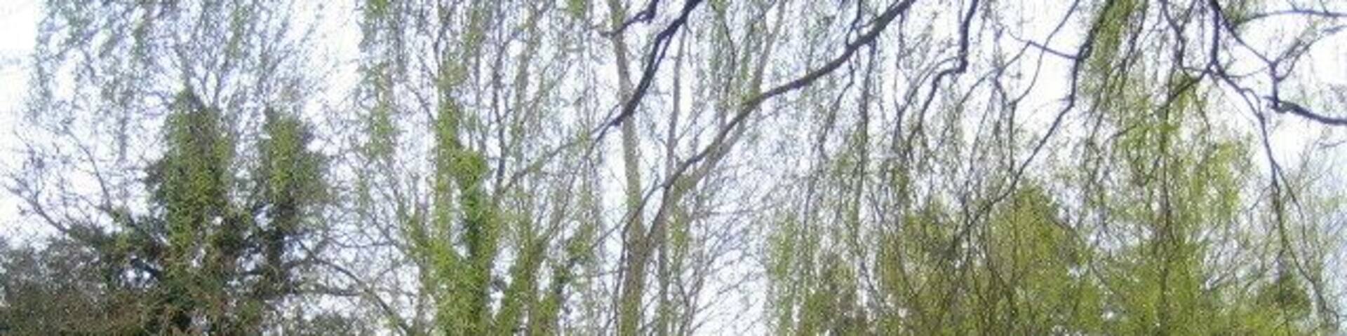 Pond, Berwick Berners Hall near Abbess Roding The pond is at the north-west corner of Berwick Hall (named Berwick Berners Hall on the OS 1:25,000 map) which is a 16th century part moated farmhouse, and the pond may be part of the moat. The manor of Berwick goes back much earlier, and in 1220 it was in the hands of the Berners family, from which it took the second part of its name. In the middle distance to the left, and partly hidden by a hedge or bushes, is a telephone kiosk, possibly a K6 model which was the most common of the models designed by Sir Giles Gilbert Scott, and first introduced in 1935.