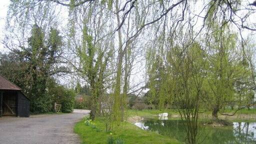 Pond, Berwick Berners Hall near Abbess Roding The pond is at the north-west corner of Berwick Hall (named Berwick Berners Hall on the OS 1:25,000 map) which is a 16th century part moated farmhouse, and the pond may be part of the moat. The manor of Berwick goes back much earlier, and in 1220 it was in the hands of the Berners family, from which it took the second part of its name. In the middle distance to the left, and partly hidden by a hedge or bushes, is a telephone kiosk, possibly a K6 model which was the most common of the models designed by Sir Giles Gilbert Scott, and first introduced in 1935.