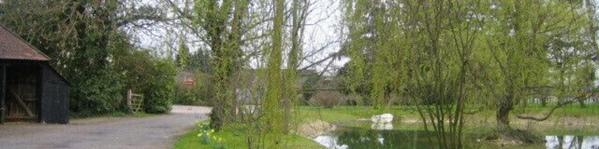 Pond, Berwick Berners Hall near Abbess Roding The pond is at the north-west corner of Berwick Hall (named Berwick Berners Hall on the OS 1:25,000 map) which is a 16th century part moated farmhouse, and the pond may be part of the moat. The manor of Berwick goes back much earlier, and in 1220 it was in the hands of the Berners family, from which it took the second part of its name. In the middle distance to the left, and partly hidden by a hedge or bushes, is a telephone kiosk, possibly a K6 model which was the most common of the models designed by Sir Giles Gilbert Scott, and first introduced in 1935.