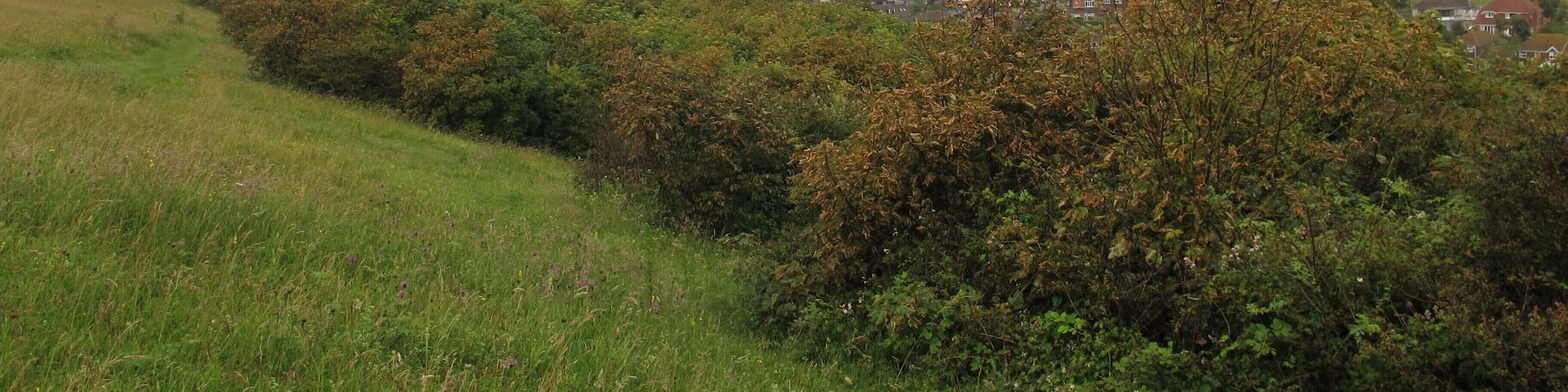 Division of Ovingdean and Rottingdean