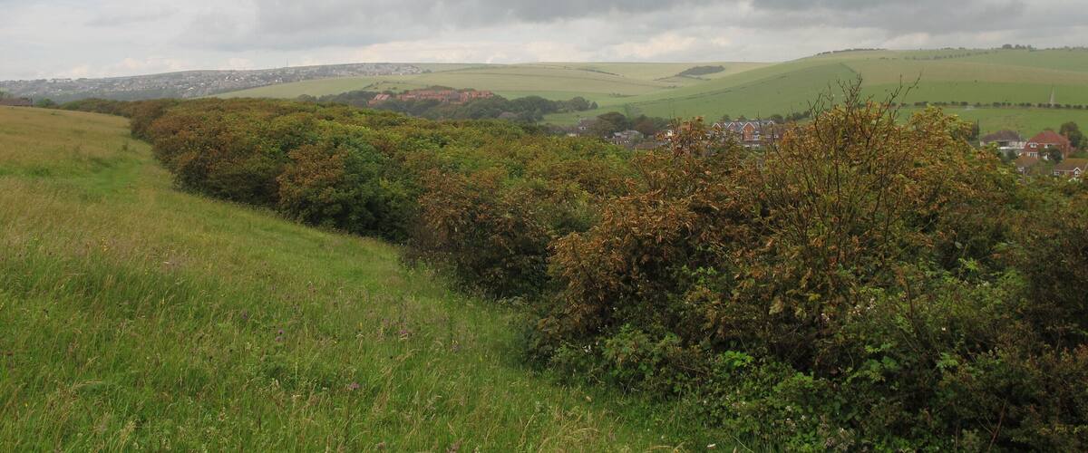 A rural landscape with rolling hills, a village, and a cloudy sky.