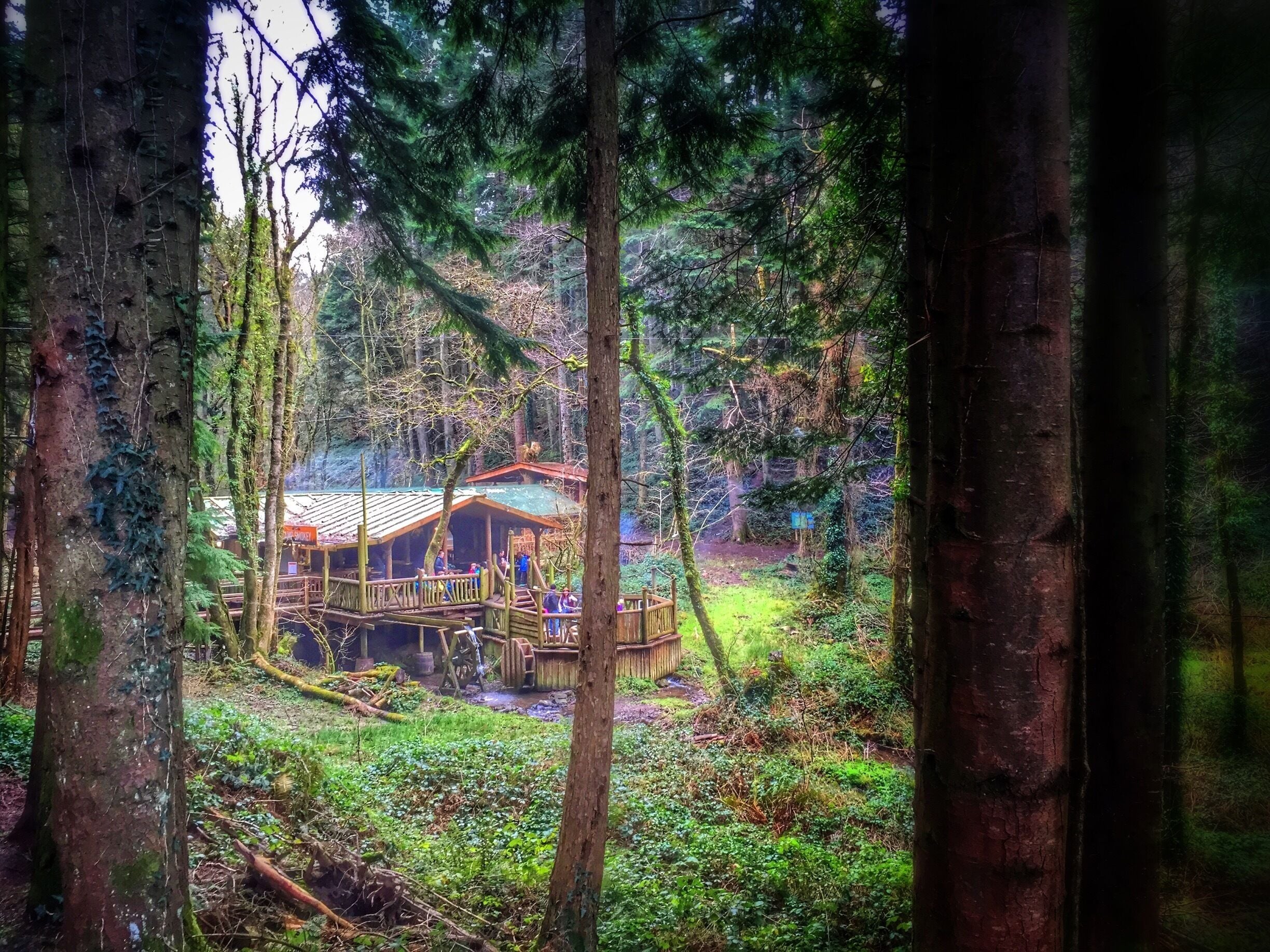 Camp Smokey... a nifty little BBQ shack in the middle of the forest. It's a bit of a mission to get here, but well worth it!