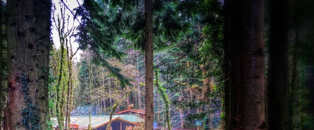 Camp Smokey... a nifty little BBQ shack in the middle of the forest. It's a bit of a mission to get here, but well worth it!