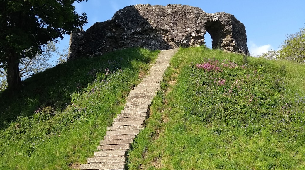 View from the bottom of the Motte at Wiston Castle