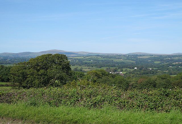 A rural landscape with rolling hills, a large tree, and scattered houses.