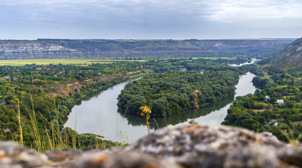 Green island on the Dniester river with a beautiful view from above.