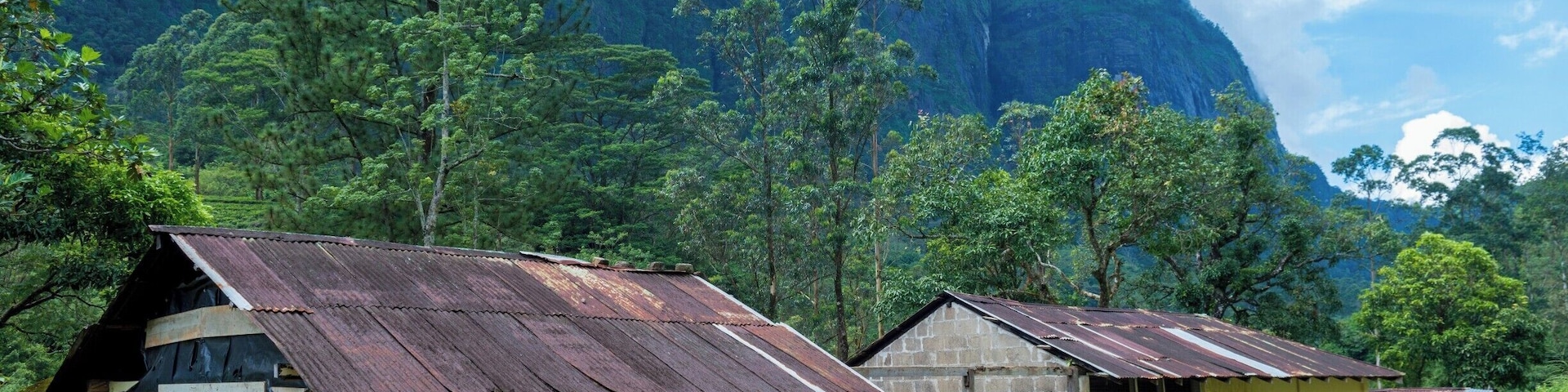 An abandoned tea factory located on the edge of Seven Virgin Hills. The place is an eye candy to see. Not a common tourist spot, but worth the detour from the Aberdeen. Leech repellent is highly recommended due to the presence of many leeches around.
#stunningstructures