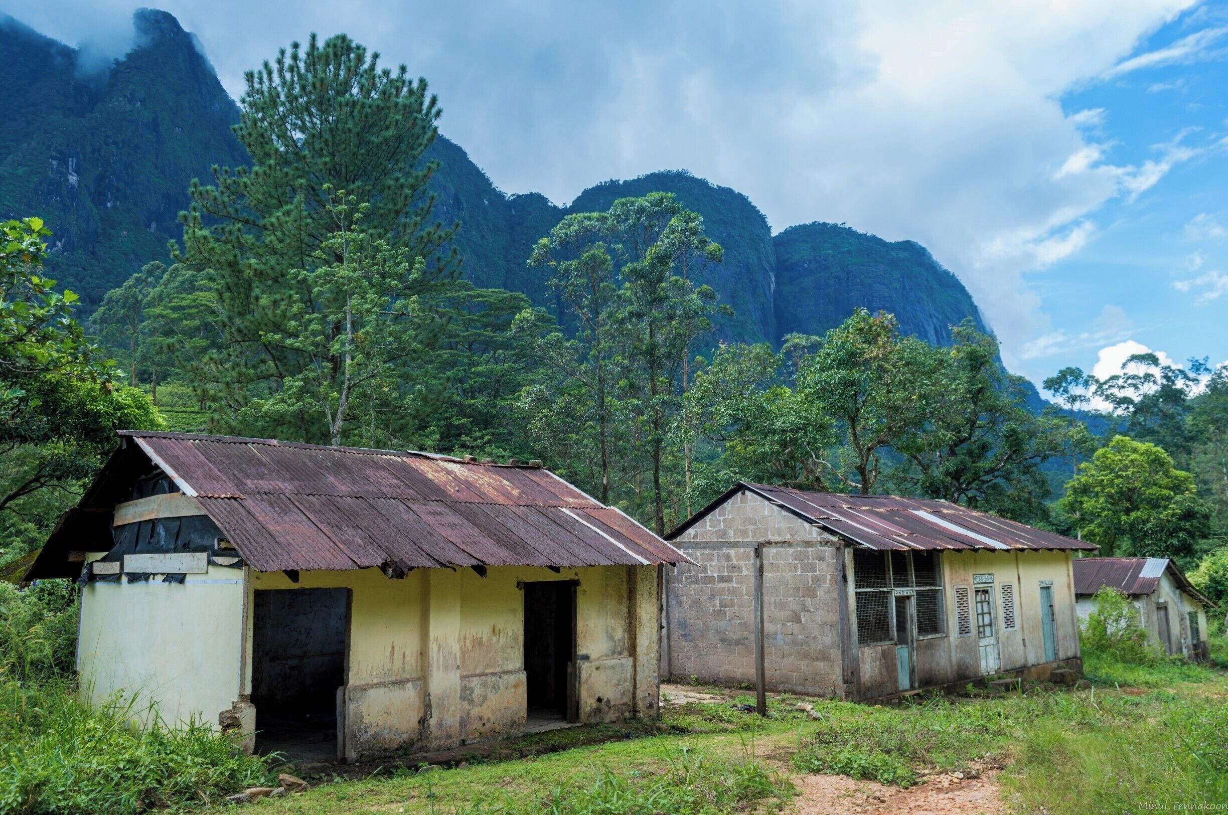 Two rustic buildings with corrugated metal roofs, surrounded by lush greenery and a mountainous backdrop.