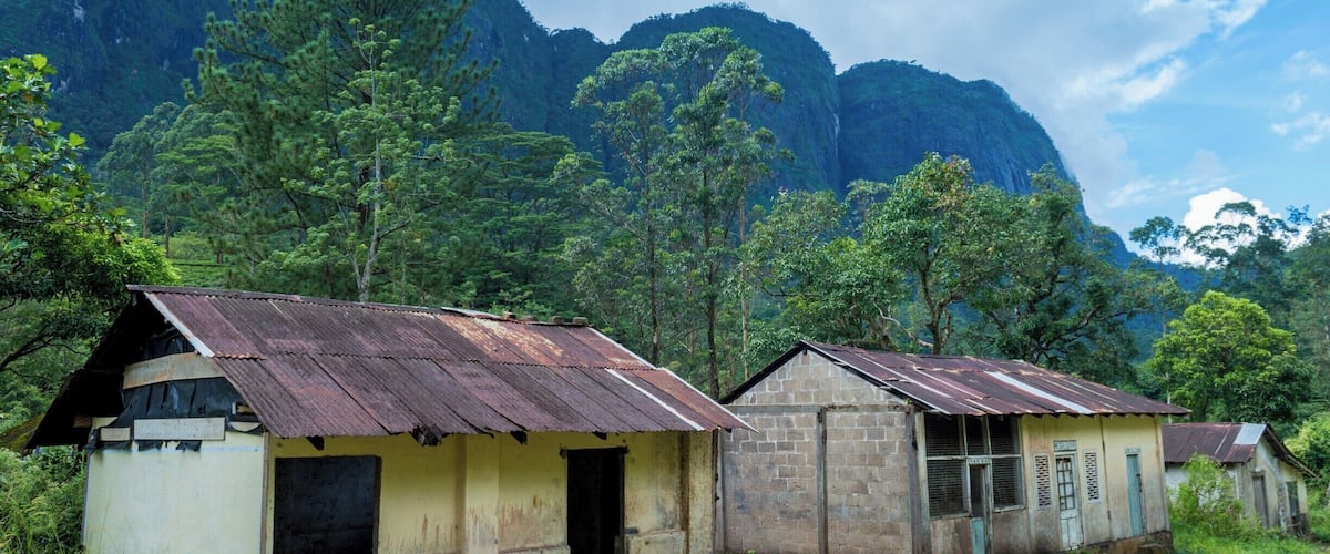 Two rustic buildings with corrugated metal roofs, surrounded by lush greenery and a mountainous backdrop.