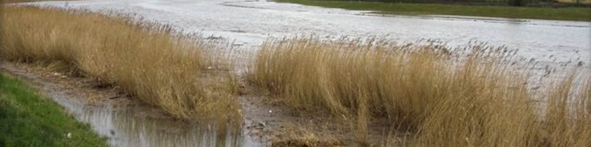 Spring Tide on the River Wyre