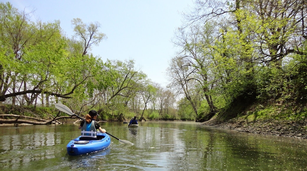 Beautiful and high quality river perfect for spring and early summer paddling. Put-ins include the ParkLand Foundation Sweeny Tract and Spark's Bridge or the publicly owned Mackinaw Fish and Wildlife Area or the intersection of the river with Route 150 outside Goodfield. Be cautious of fast currents in the spring and very low water mid summer. But the sweet spot in between is perfect.