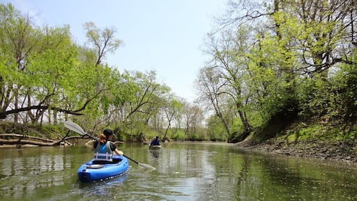 Beautiful and high quality river perfect for spring and early summer paddling. Put-ins include the ParkLand Foundation Sweeny Tract and Spark's Bridge or the publicly owned Mackinaw Fish and Wildlife Area or the intersection of the river with Route 150 outside Goodfield. Be cautious of fast currents in the spring and very low water mid summer. But the sweet spot in between is perfect.