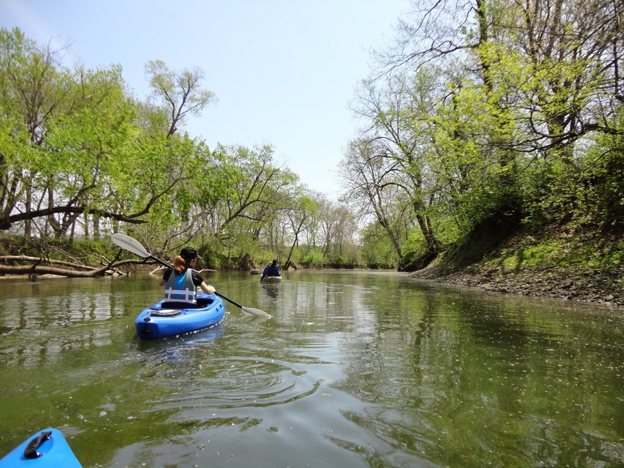 Beautiful and high quality river perfect for spring and early summer paddling. Put-ins include the ParkLand Foundation Sweeny Tract and Spark's Bridge or the publicly owned Mackinaw Fish and Wildlife Area or the intersection of the river with Route 150 outside Goodfield. Be cautious of fast currents in the spring and very low water mid summer. But the sweet spot in between is perfect.