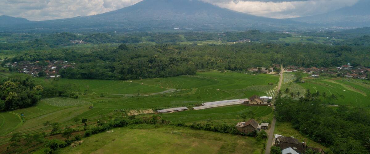 A lush green landscape with terraced fields, a small village, and a mountain in the background.