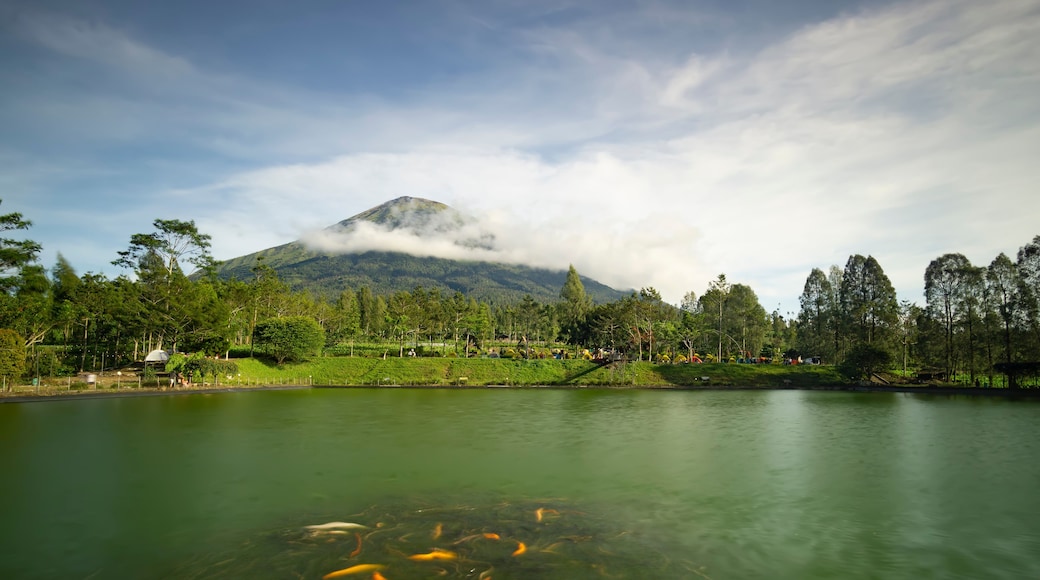 Kabupaten de Temanggung