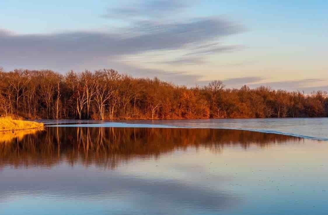 A calm lake with a forested shoreline and a clear sky.
