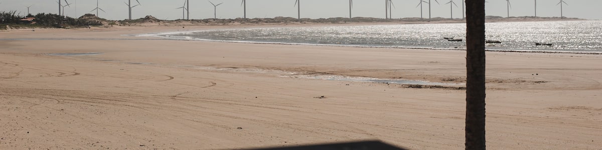 Une plage avec des éoliennes visibles au loin.
