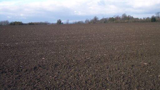 Crab Tree Covert. Looking NE over freshly ploughed fields to Crab Tree Covert with the Malvern Hills just visible in the distance.