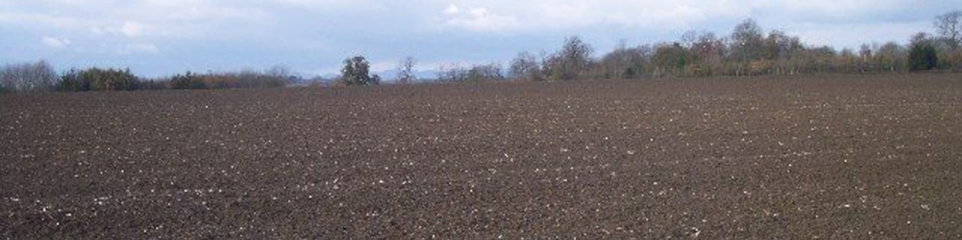 Crab Tree Covert. Looking NE over freshly ploughed fields to Crab Tree Covert with the Malvern Hills just visible in the distance.