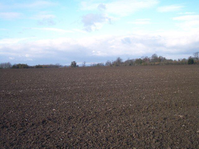 A vast, plowed field with a clear sky and distant trees.