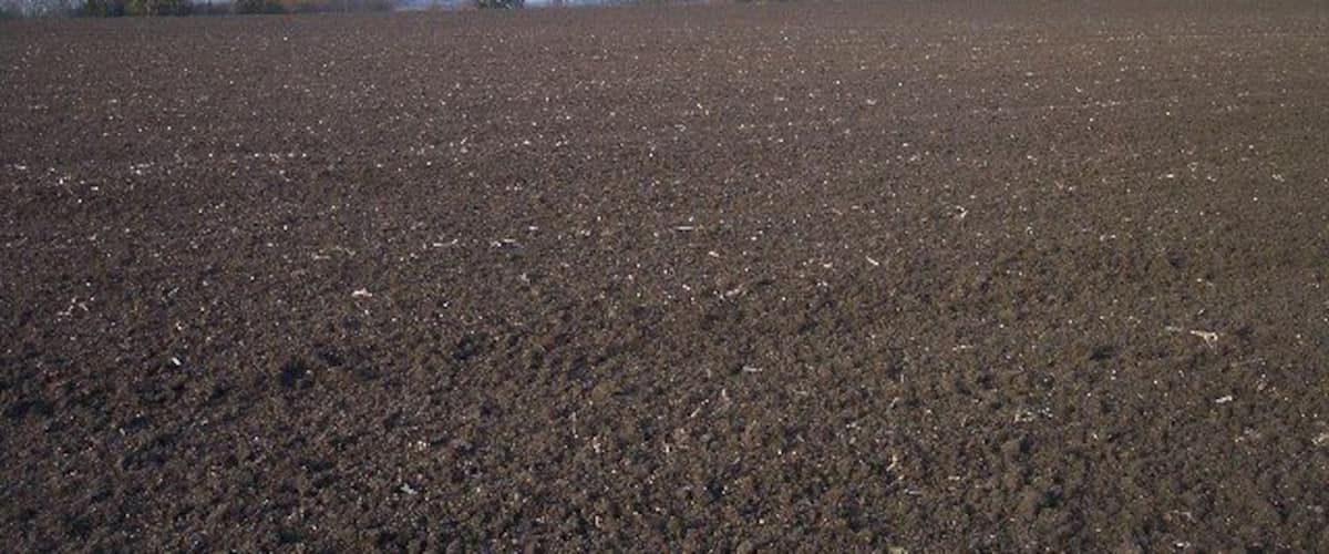 A vast, plowed field with a clear sky and distant trees.