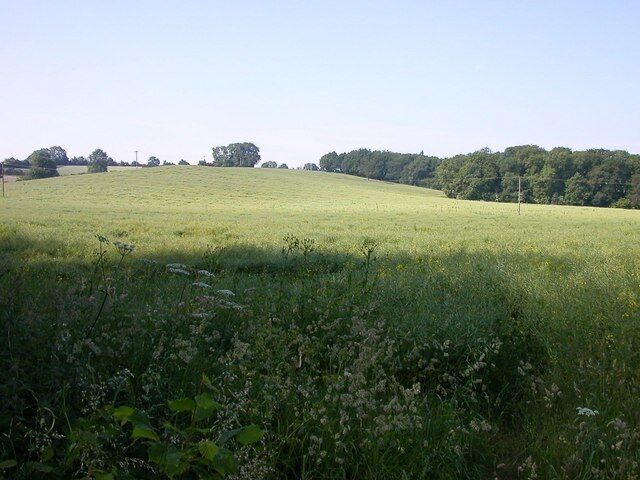 Byfield. Spinney looking from the road to West Farndon.