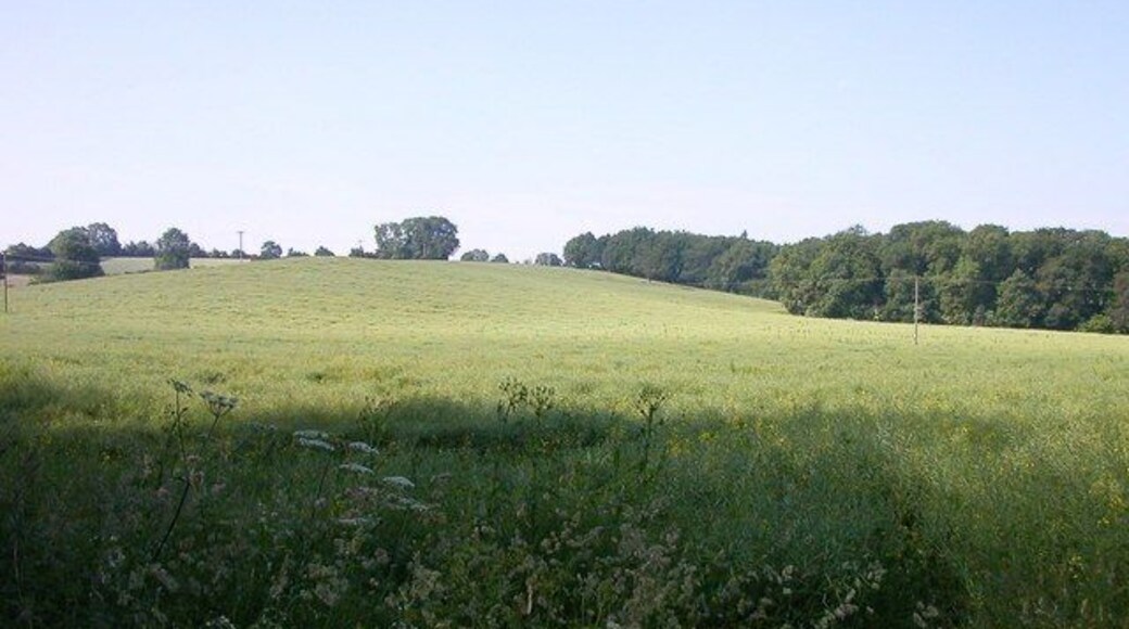 Byfield. Spinney looking from the road to West Farndon.