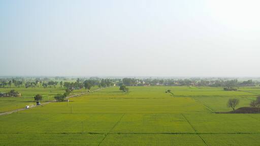 landscape in the morning