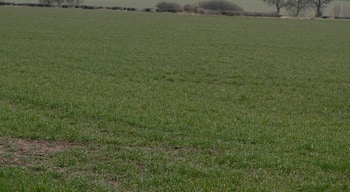 Footpath from Appleby Road Clearly not heavily used, the line of the path has not been clearly maintained across the crop. The next waymark can be seen in the distance.