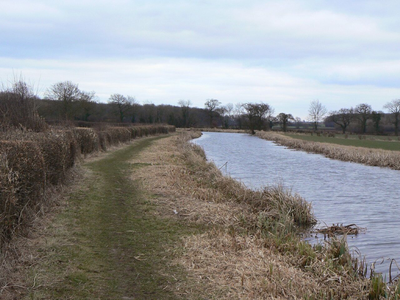 Ashby Canal The stretch between Pare's Bridge and Gopsall Wharf.