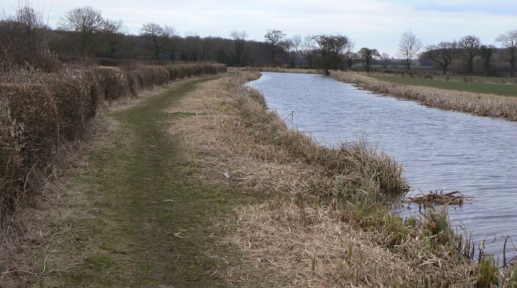 Ashby Canal The stretch between Pare's Bridge and Gopsall Wharf.