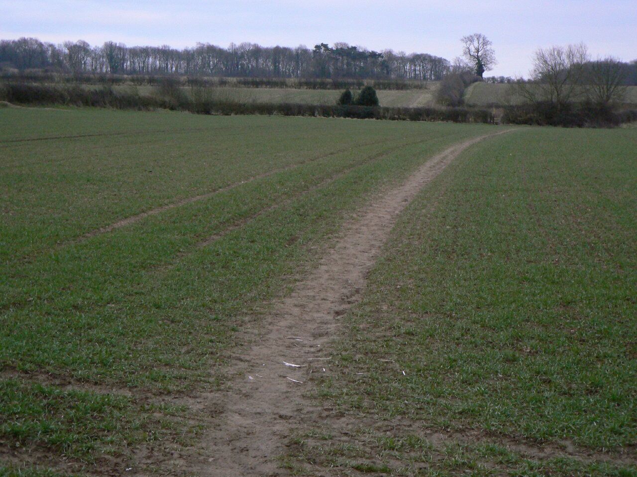 Ivanhoe Way near Snarestone The exit south from the village. The path is well used here.