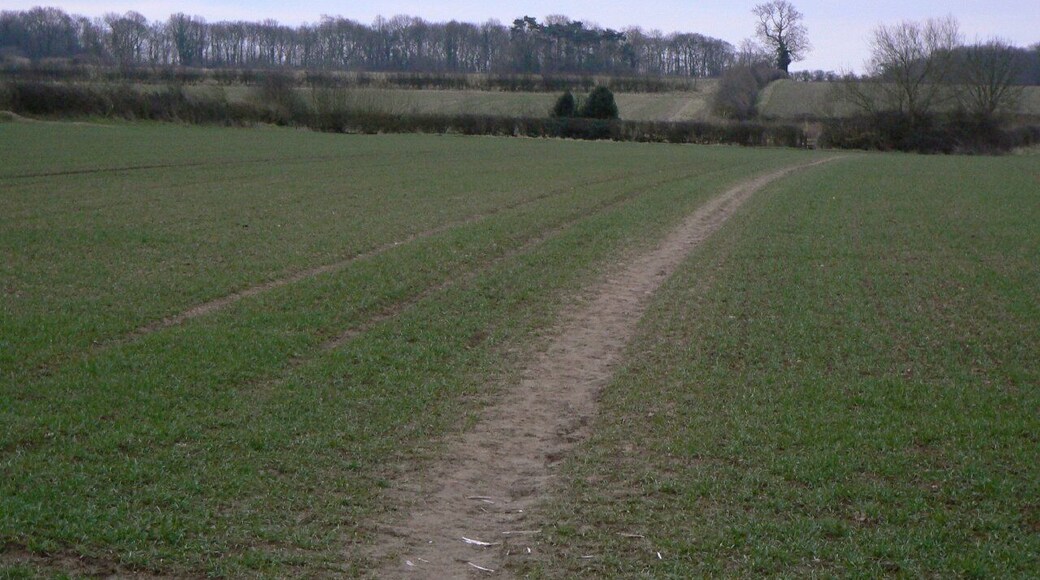 Ivanhoe Way near Snarestone The exit south from the village. The path is well used here.