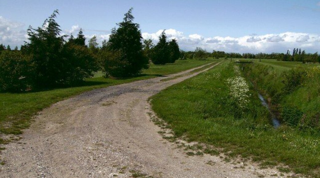 Close to the 5th green, Tetney Golf Course A very strong wind is causing the trees to bend to the right.