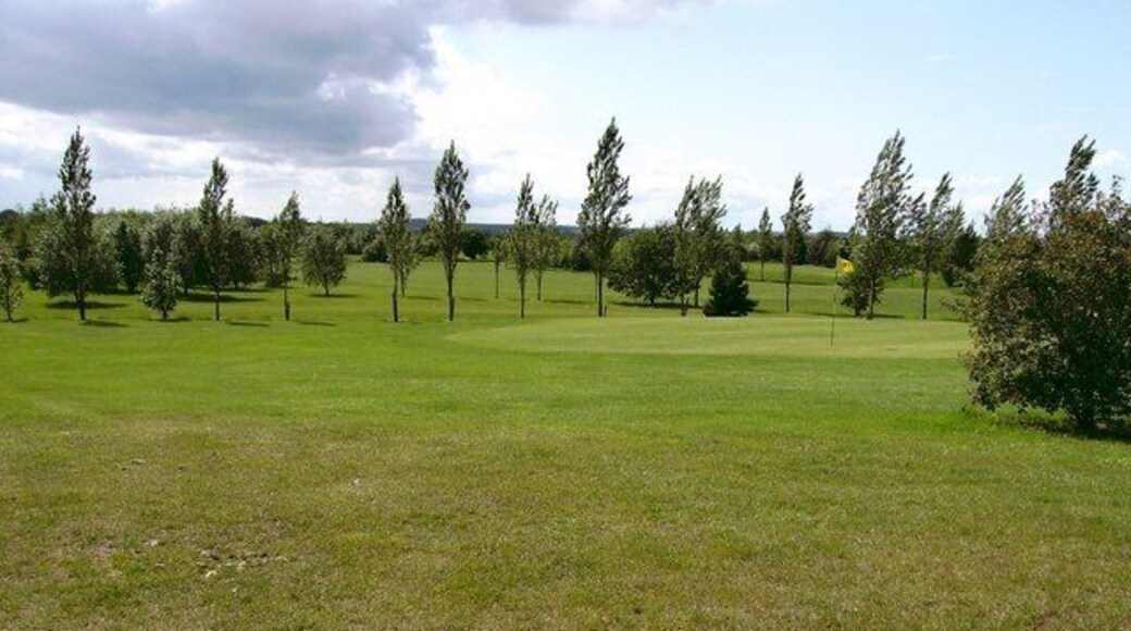 5th Green Surrounded by young trees being blown about by a strong wind.