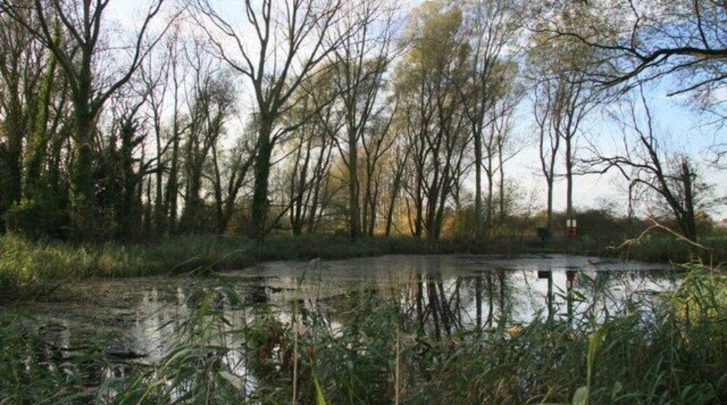 Tetney Blow Well No4 The blow wells are the result of artesian springs where water under pressure escapes from the chalk through structural weaknesses in the overlying boulder clay to reach the surface.