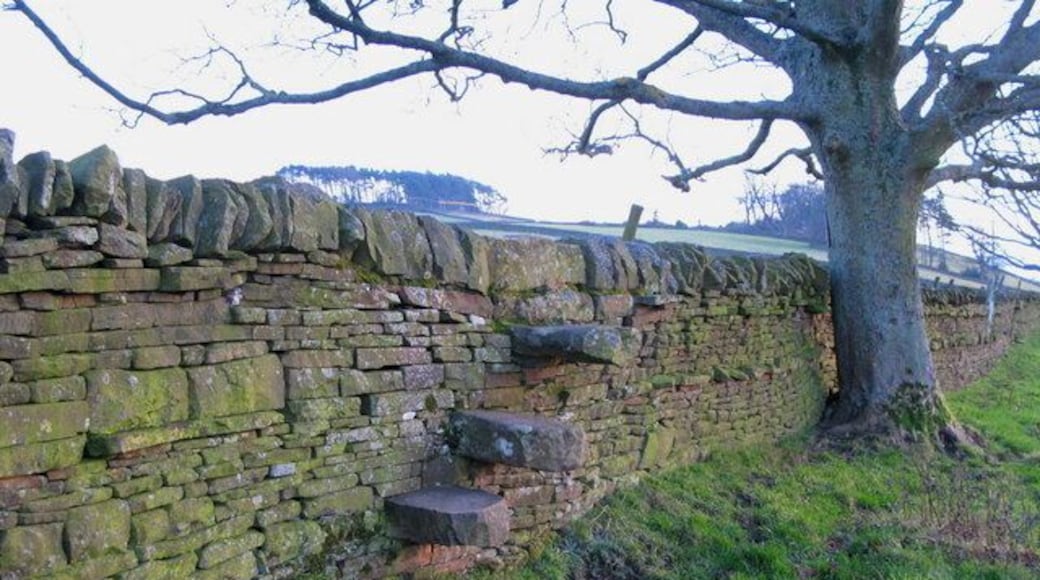 Stone stile on the footpath to Finney Hill Green