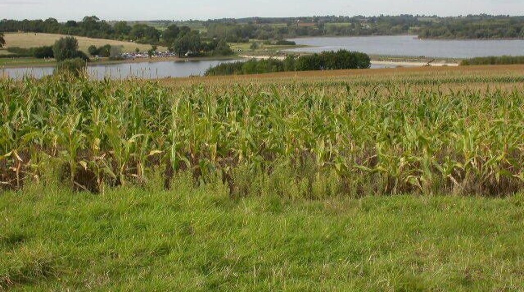 Causeway, Pitsford Water. The north end of Pitsford Water can be seen behind the causeway.