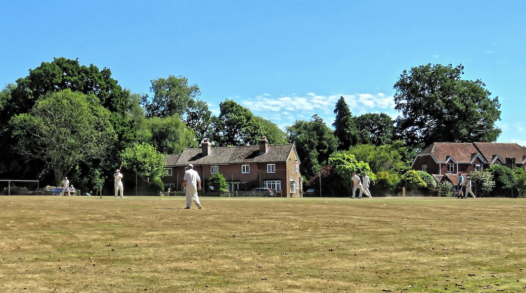 A public friendly Sunday cricket match between Nuthurst Cricket Club (batting), representing Nuthurst parish, and Henfield Cricket Club representing Henfield parish, on the village green cricket ground at Mannings Heath in West Sussex, England. Camera: Canon PowerShot SX60 HS Software: File lens-corrected, optimized, perhaps cropped, with DxO PhotoLab , and likely further optimized with Adobe Photoshop CS2.