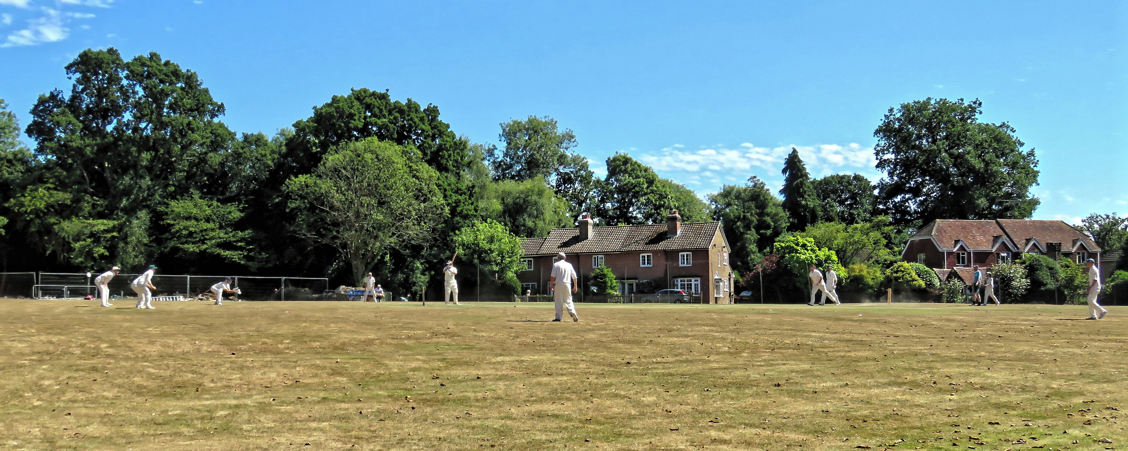 A grassy field with people playing cricket, surrounded by trees and houses.