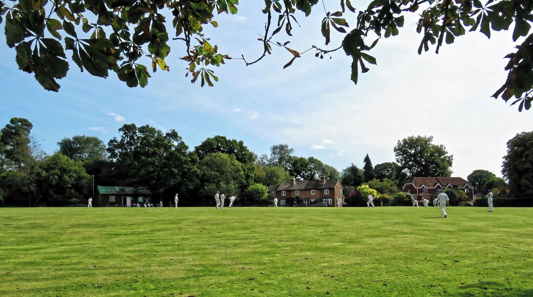 A public friendly Sunday cricket match between Nuthurst Cricket Club (which represents Nuthurst parish), and the East Dulwich, Middlesex-based Royal Challengers (batting) on the village green cricket ground at Mannings Heath in West Sussex, England. Camera: Canon PowerShot SX60 HS Software: File lens-corrected, optimized, perhaps cropped, with DxO OpticsPro 11 Elite, and likely further optimized with Adobe Photoshop CS2.
