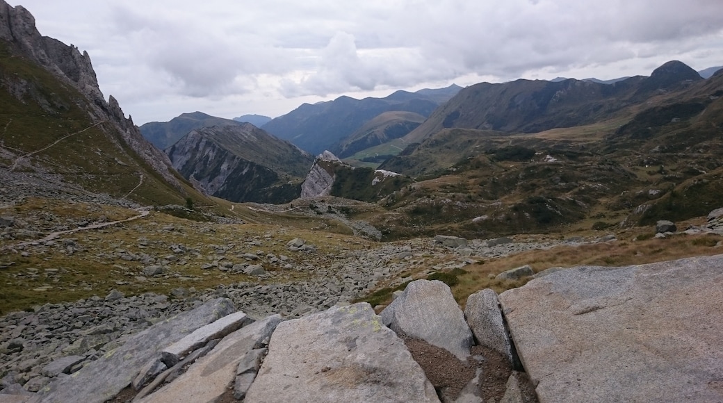 Parco Naturale Adamello (Q47780554)