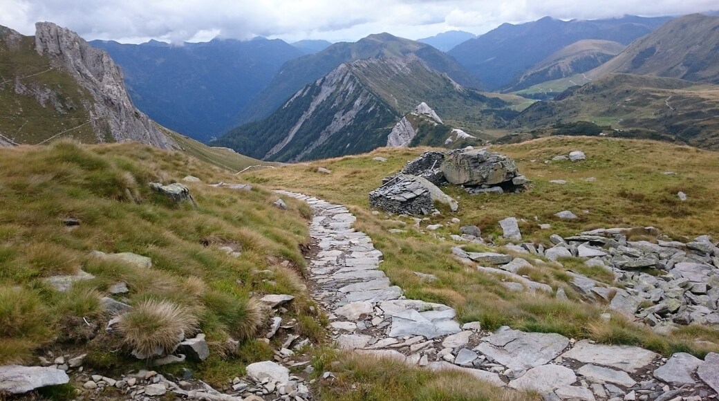 Parco Naturale Adamello (Q47780554)