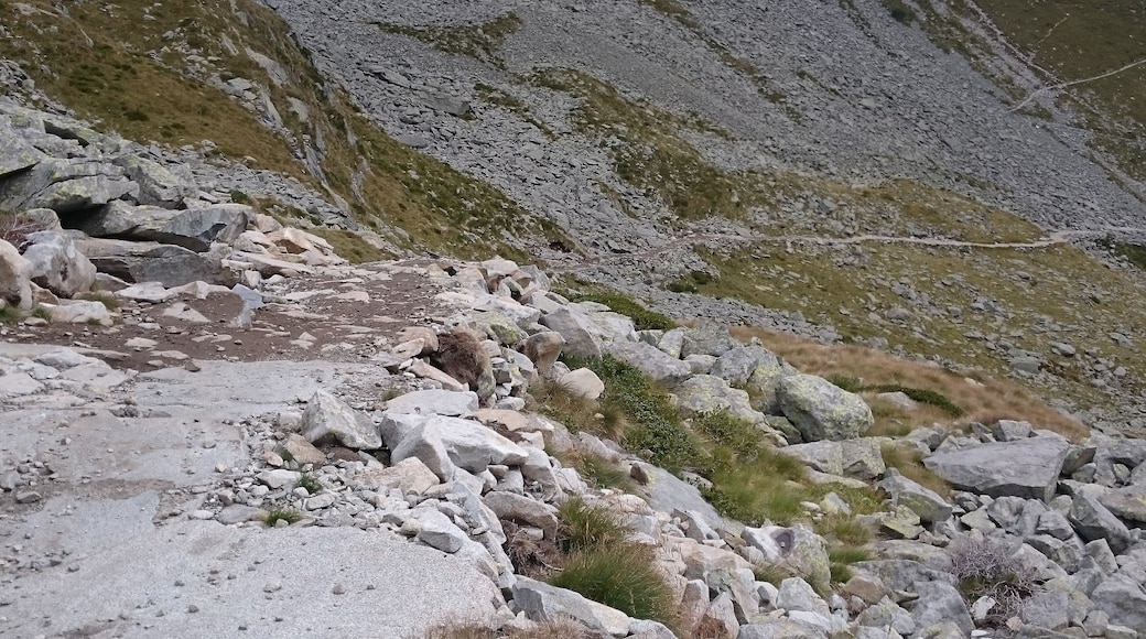 Parco Naturale Adamello (Q47780554)