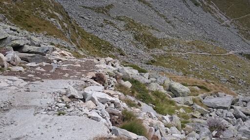 Parco Naturale Adamello (Q47780554)