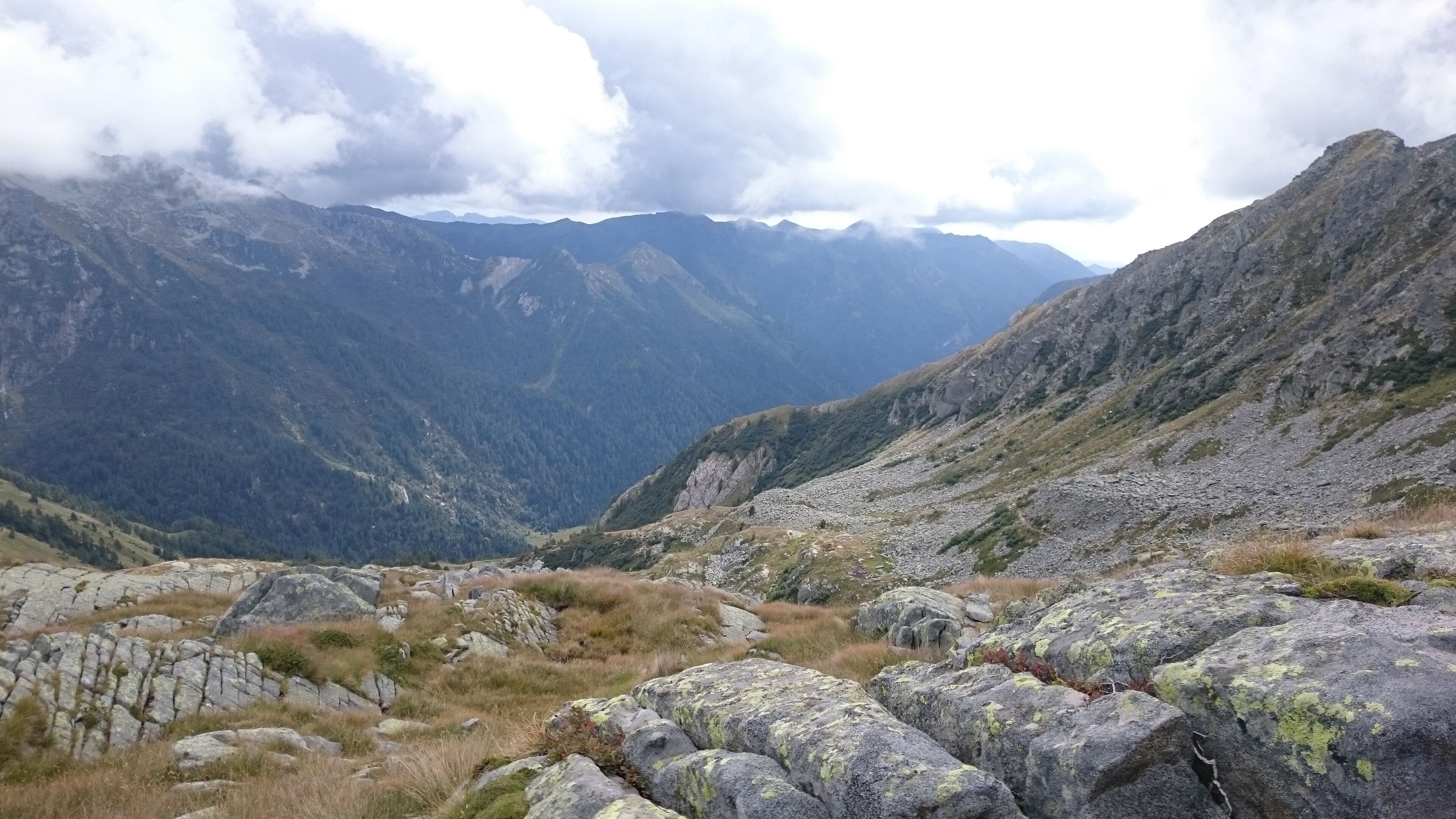 Parco Naturale Adamello (Q47780554)